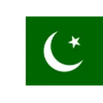 Pakistan W logo