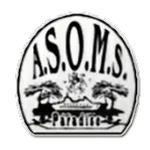 Paradise logo