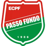 Passo Fundo logo