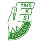 Pelikan Łowicz logo