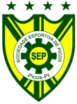 Picos PI U20 logo