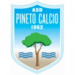 Pineto logo