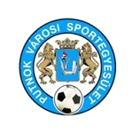 Putnok VSE logo
