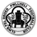 Pwllheli logo