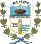 Río Negro logo