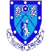 Rugby Town logo