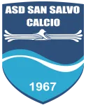 Salvo logo