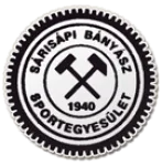 Sárisápi Bányász logo