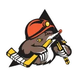 Shakhtyor Res. logo