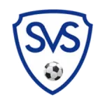 Sierning logo