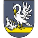 Slovan Brvnište logo