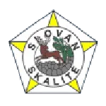 Slovan Skalité logo
