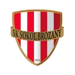 Sokol Brozany logo