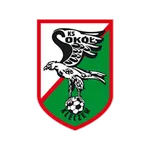 Sokół Kleczew logo