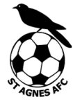 St Agnes logo