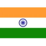 Team India logo