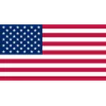 Team USA logo