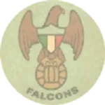 Toronto Falcons logo