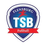TSB Flensburg logo