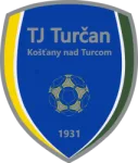 Turcan Kostany logo