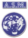Vénissieux logo