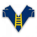Verona U19 logo