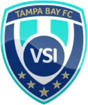 VSI Tampa Bay logo