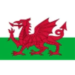 Wales U17 W logo