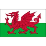 Wales U18 logo
