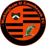Wokingham Town logo