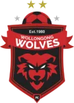 Wollongong Wolves U20 logo