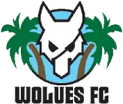 Wolues FC logo