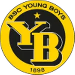 Young Boys W logo